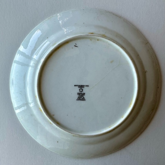 Paragon British Dog Series 7” Plate - Picture 6 of 6